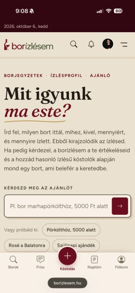 Borízlésem mobil